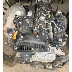 Nunc congue dui nec...